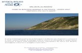 DAL 28 AL 31 AGOSTO CAMP DI BIOLOGIA MARINA A · PDF fileescursioni in barca nella fantastica cornice naturalistica del Parco ... abita nel Mare Adriatico. ... attraverso l'analisi