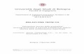 Universit degli Studi di Bologna - nidyon.com superficiale.pdf · 3 Metodo di calcolo La norma UNI EN ISO 13788 descrive un metodo per progettare l’involucro edilizio in modo da