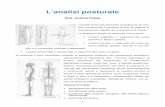 Dott. Andrea Pelosi - AP Accademia · PDF file- 2 - Visione frontale e laterale conformazione, posizione delle arcate costali (simmetriche), sotto la mammella (fossetta sul costato),