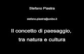 Stefano Piastra - aiiger.itaiiger.it/attachments/106_ConcettoDi Paesaggio.pdf · è data da tutta quella serie di interventi attuati dall’uomo sull’ambiente naturale, ... è stata