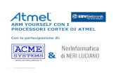 ARM YOURSELF CON I PROCESSORI CORTEX DI ATMELterzo.acmesystems.it/download/press/atmel_mcu.pdf · Bringing the Innovation of Atmel AVR XMEGA to the Atmel SAMD20 Series Peripheral