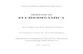 Corso di Laurea in Ingegneria Meccanica - Servizio di hostinghost.uniroma3.it/docenti/camussi/files/Cap1.pdf · 1.5 Forze e momenti su corpi e profili aerodinamici 1.6 Teorema di
