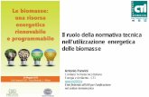 Il ruolo della normativa tecnica nell’utilizzazione ... · PDF fileIl ruolo della normativa tecnica nell’utilizzazione energetica delle biomasse Antonio Panvini Comitato Termotecnico