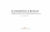 Il mandolino a Brescia - mandolinobrixia.it libri/brescia/introduzione.pdf · Fondazione il Vittoriale degli Italiani Comune di Bagolino ... come ne ﬁIl mandolino a Bresciaﬂ porta