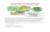 MapInfo Professional - la scheda - DigiMap - Homedigimap.it/grafica/MapInfoProfessional.pdf · più comuni formati GIS e CAD, ... da società che lavorano da sempre nel settore della