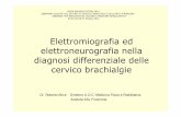 Elettromiografia ed elettroneurografianella diagnosi ... · PDF fileElettromiografia ed elettroneurografianella diagnosi differenziale delle cervicobrachialgie Dr. Roberto Bove Direttore