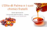 Dario Bressanini Università dell’Insubria –Como · PDF filela “molecola di olio di oliva” NON ESISTE E neanche la “molecola di olio di palma” Tutti i grassi e gli oli