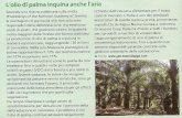 · PDF fileL'olio di palma inquina anche l'aria Secondo una ricerca pubblicata sulla rivista Proceedings of the National Academy of Science, le piantagioni di palma da olio non
