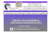 TERAPIA TRANSARTERIOSA METASTASI EPATICHE · PDF file2 – Vascolarizzazione arteriosa delle metastasi epatiche da neoplasie neuroendocrine - PRESUPPOSTI - TERAPIA TRANSARTERIOSA METASTASI