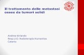 Il trattamento delle metastasi ossee da tumori solidi - · PDF fileCi troviamo pertanto di fronte a pazienti con metastasi non più indicative di fasi terminali ed intrattabili tali