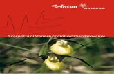Scarpetta di Venere & giglio di San Giovanni · PDF fileSankt Anton sono delle vere e proprie enciclopedie vaganti della flora delle Alpi. Conoscono per nome più di 250 fiori di prato