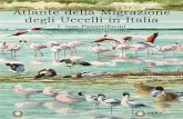 Atlante della Migrazione degli Uccelli in  · PDF fileAtlante della Migrazione degli Uccelli in Italia I. non-Passeriformi FERNANDO SPINA & STEFANO VOLPONI
