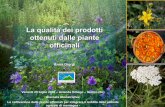 La qualità dei prodotti ottenuti dalle piante · PDF fileN.B.: Le piante medicinali fanno parte delle piante officinali, che . comprendono invece tutte le specie usate dall’uomo