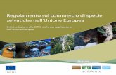 Regolamento sul commercio di specie selvatiche …ec.europa.eu/environment/cites/pdf/trade_regulations/KH7707262ITC.pdf · 7 Informazioni su questa guida L’Unione Europea (UE),