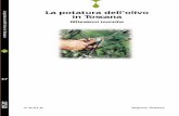 “rinnovo” tecnico nell’attività di filiera, con ... potatura.pdf · cover olio 17 potatura 4-06-2002 14:44 Pagina 1 La potatura dell’olivo in Toscana Riflessioni tecniche