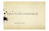 RHUS TOXICODENDRON - omeoweb.comomeoweb.com/documenti/biblioteca/rhus-tox.pdf · (dal II volume, 3° edizione, 1833) Si osserva una curiosa azione (che si trova in pochissime altre