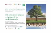 Il Comune di Milano 13 maggio 2014 e i progetti in ambito ... · PDF fileLa gestione degli AMBITI RURALI nell’organizzazione dell’Amministrazione Comunale Vicesindaco con delega