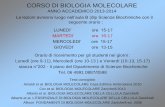 CORSO DI BIOLOGIA MOLECOLARE - …elearning2.uniroma1.it/pluginfile.php/82306/mod_resource/content/1... · CORSO DI BIOLOGIA MOLECOLARE ... • Il messaggio del DNA ed il significato