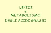 LIPIDI e METABOLISMO DEGLI ACIDI GRASSI · PDF fileLipidi • I lipidi sono i principali costituenti delle membrane biologiche. • Sono biomolecole insolubile in acqua ma solubili
