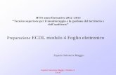 IFTS anno formativo 2012 -2013 “Tecnico superiore per il ... · PDF fileEsperto Salvatore Maggio Modulo 4: Excel FOGLIO ELETTRONICO Spread-Sheet vanno dal calcolo di semplici funzioni