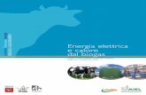 energia BIOGAS: CASI ESEMPIObiomassa Energia … rinnovabili... · 4 In Italia l’incentivazione della produ-zione di energia elettrica da fonti rin-novabili, tra cui le biomasse,