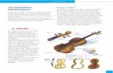 IL VIOLINO - F_musica/Mus_app1.pdf · PDF filevioloncello. Esiste infine una ricca letteratura per violino e altri strumenti (in particolare pianoforte) e per violino solo (ad esempio