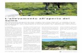 Fig. 1 - allevamento all’aperto L’allevamento all’aperto ... · PDF fileLaore Sardegna - Agenzia regionale per lo sviluppo in agricoltura 2 sulle performance di crescita. Tecnici