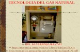 TECNOLOGIA DEL GAS NATURAL - · PDF fileLímite de inflamabilidad del gas natural 0 a 4 % de gas natural sin combustión poco gas 4 a 14 % de gas natural combustión ... Viscosidad