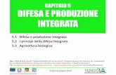 DIFESA E PRODUZIONE INTEGRATA - Veneto Agricoltura PRODOTTI... · • Lotta biologica con insetti (crisope, coccinelle, antocoridi o altri insetti che svolgono attività di predazione-parassitismo