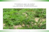 Direttive per la lotta contro l’Ambrosia Ambrosia ... · PDF fileDirettive per la lotta contro l’Ambrosia (Ambrosia artemisiifolia) http: