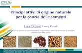 Principi attivi di origine naturale per la concia delle ...scs.entecra.it/materiale-convegni/PSNB/7-concia-seme.pdf · Il seme rappresenta quindi uno dei principali veicoli per la