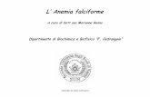 L’ Anemia falciforme -  · PDF fileL’ Anemia falciforme A cura di Dott.ssa Marianna Raimo Dipartimento di Biochimica e Biofisica “F. Cedrangolo” scaricato da