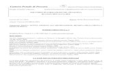 Camera Penale di Pescara aderente all’Unione Camere · PDF fileNORMATIVA: Titoli I-V e VII-VIII Libro V codice procedura penale DOTTRINA : AA.VV., Indagini preliminari e udienza