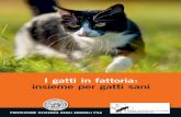 I gatti in fattoria: insieme per gatti · PDF fileLe colonie di gatti non controllate – chiamate anche «hotspot» o focolai – appa- ... sopravvivono 3 gattini, dopo 7 anni ci