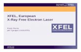 XFEL, European X-Ray Free Electron · PDF file• Gradiente accelerante x 5 (limite fisico Nb a ~ 50 MV/m) ... PP 17/10/2008 19 The European XFEL X-Ray Laser Project X-Ray Free-Electron