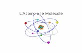 L’Atomo e le Molecole - · PDF file1 Espansione 4.1 La tavola periodica, da Mendeleev a oggi A partire dal 1600, con l’affermarsi del metodo scientifico sperimentale introdot-to