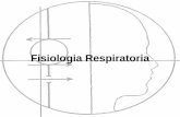 Fisiologia Respiratoria - · PDF fileFisiologia Respiratoria . ... Il centro del respiro viene bloccato e non stimola la muscolatura respiratoria - il torace si rilascia espellendo