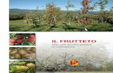 IL FRUTTETO - afavb. · PDF fileIL FRUTTETO Manuale tecnico pratico di coltivazione Provincia di Bergamo Assessorato Urbanistica e Agricoltura Provincia di Bergamo Assessorato Urbanistica