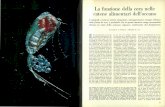 La funzione della cera nelle catene alimentari dell'oceanodownload.kataweb.it/mediaweb/pdf/espresso/scienze/1975_083_6.pdf · ché si cibano solo di zooplancton. Mol-te specie migrano
