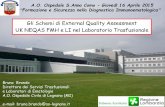 Gli Schemi di External Quality Assessment UK NEQAS FMH  · PDF fileAnonimo Veneziano 2007 Per la serie ‘Italia Pittoresca