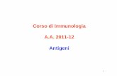 Corso di Immunologia A.A. 2011-12 · PDF fileAntibody, T-independent antigen, T-dependent antigen, Hapten-carrier conjugate, ... reagiranno gli Ac, anche in individui diversi, sono