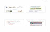 3-Macromolecole biologiche Proteine stud · PDF fileiki/Antibody FUNZIONI BIOLOGICHE DELLE PROTEINE (6) Generazione e propagazione di impulsi nervosi. La risposta ... Tipica proteina