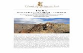 INDIA HIMACHAL PRADESH - LADAKH, Attraverso l ... singolare viaggio si svolge tra Himachal Pradesh e Ladakh, ai confini con il Tibet, lontano dai sentieri più battuti, dove si può