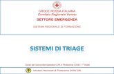 CROCE ROSSA ITALIANA ISPETTORATO REGIONALE  · PDF file · 2010-10-26il triage sieve / sort. croce rossa italiana - comitato regionale veneto