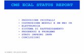 CMS ECAL STATUS REPORT - infn.it · PDF fileDelivered jj-avr-aa 7500 7500 8000 8500 8700 8900 11700 14700 17700 0 20300 Critical path 1700 5100 8500 11900 17000 20400 25500 30600 35700