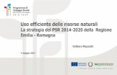 La strategia del PSR 2014-2020 della Regione Emilia - …. domande ammissibili Importi domande ammissibili N. domande ammesse Importi concessi %