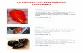 LE VARIETA' DEL PEPERONCINO (CASPICUM)files.carlozzo.it/200000538-dc042dcfef/Varietà di Peperoncino.pdf · Jamaican Hot Red specie: Capsicum chinense provenienza : Caraibi - caratteristiche: