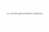 Le cellule ghiandolari atipiche - Bolognaanatomiapatologica.ausl.bologna.it/pacs/images/docs/2014_11_21... · • Tipiche: – Alte, cilindriche, talora con ciglia talora con aspetti