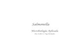 Salmonella - Curso Microbiologia Aplicada · Taxonomia y nomenclatura: Salmonella Salmonella enterica Salmonella bongori I, Subs. Enterica II, Subs. salamae IIIa, Subs. arizonae IIIb,
