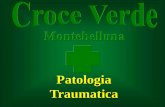 Presentazione di PowerPoint - … · Trauma Cranico Lesioni del Rachide Trauma Toracico Trauma Addominale Trauma Muscolo Scheletrico